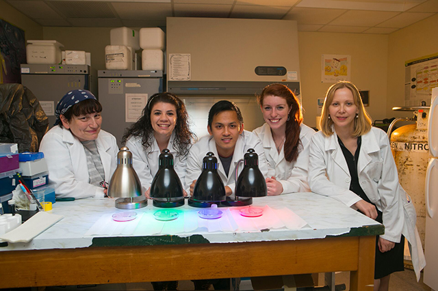 Materials Science and Chemical Computer Engineering Faculty A group of five people in lab coats smiles in a lab. They lean over a table with colorful lights under petri dishes, creating a bright, collaborative atmosphere.