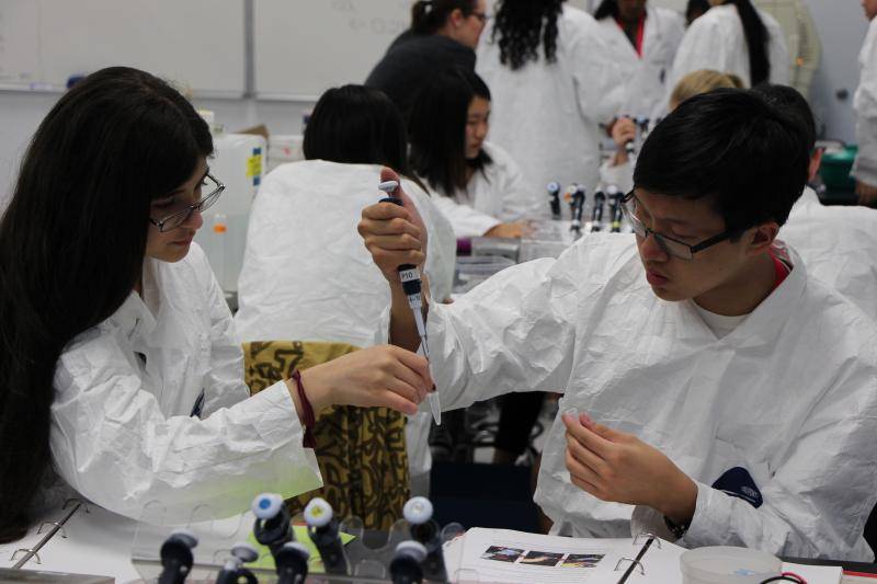 Student working on a project in a lab